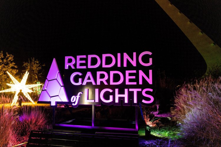 Image 8 of 9 in gallery section. Image title is Garden of Lights.