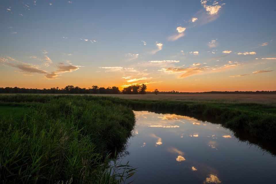 Image 1 of 4 in gallery section. Image title is 276308721_276922721280456_9198954864527795426_n.