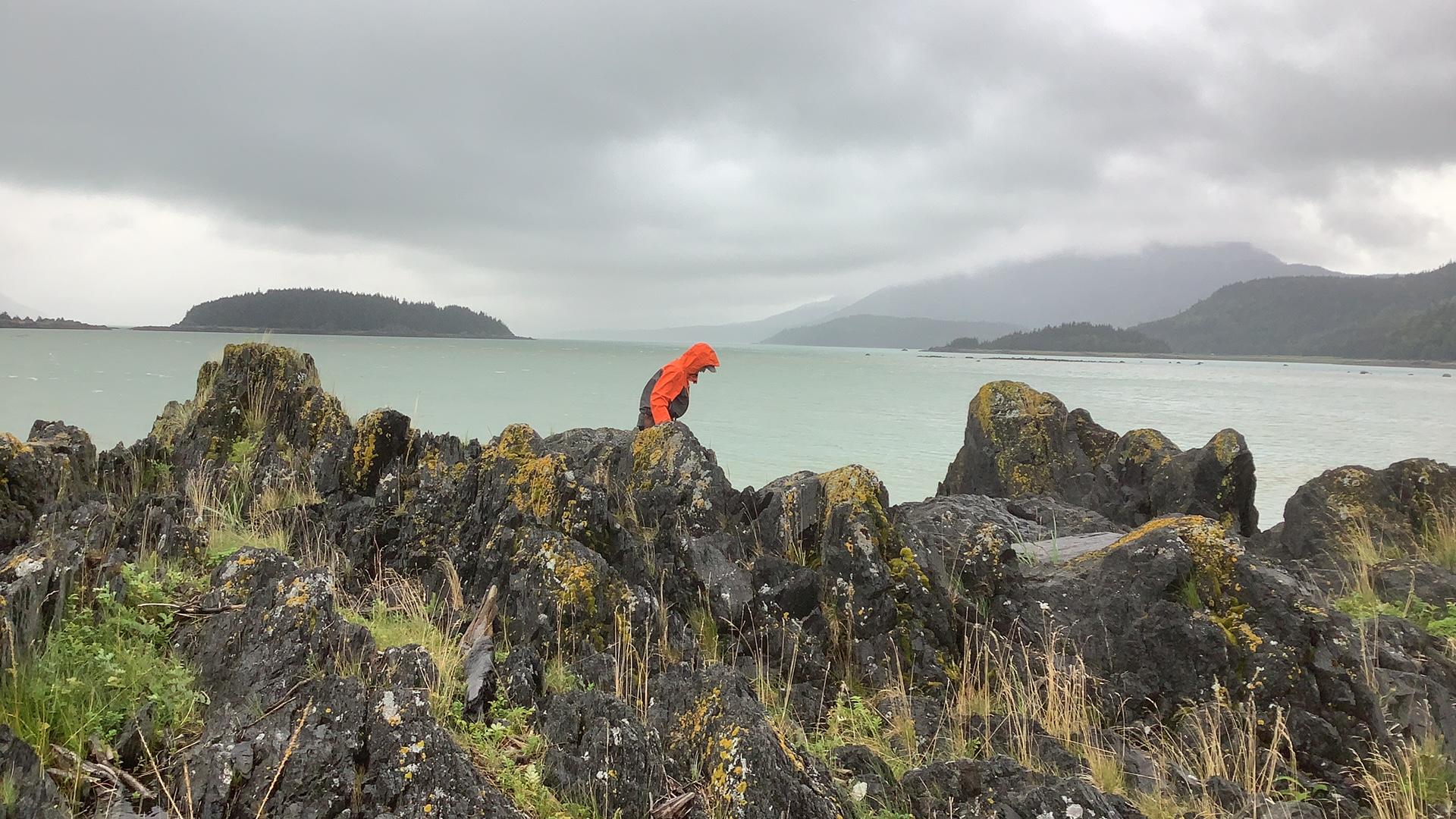 Image 28 of 28 in gallery section. Image title is 23SPR100_img_0002_19.