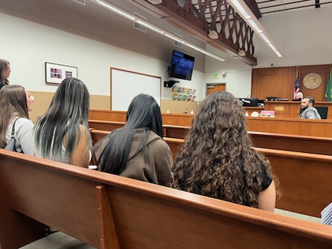 Image 10 of 24 in gallery section. Image title is Legal Break to Educate .