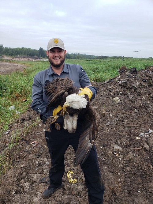 Image 2 of 7 in gallery section. Image title is animal-control-officer-meredith-and-eagle.