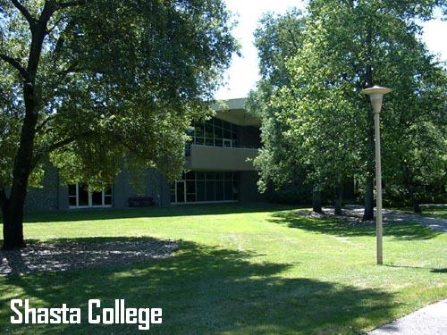 Image 14 of 22 in gallery section. Image title is Library.