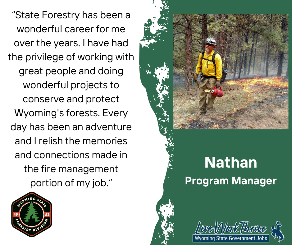 Image 1 of 5 in gallery section. Image title is Nathan.