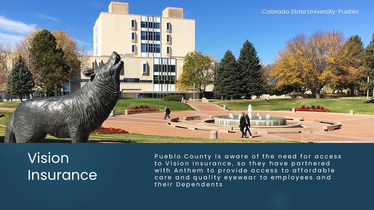 Image 4 of 4 in gallery section.