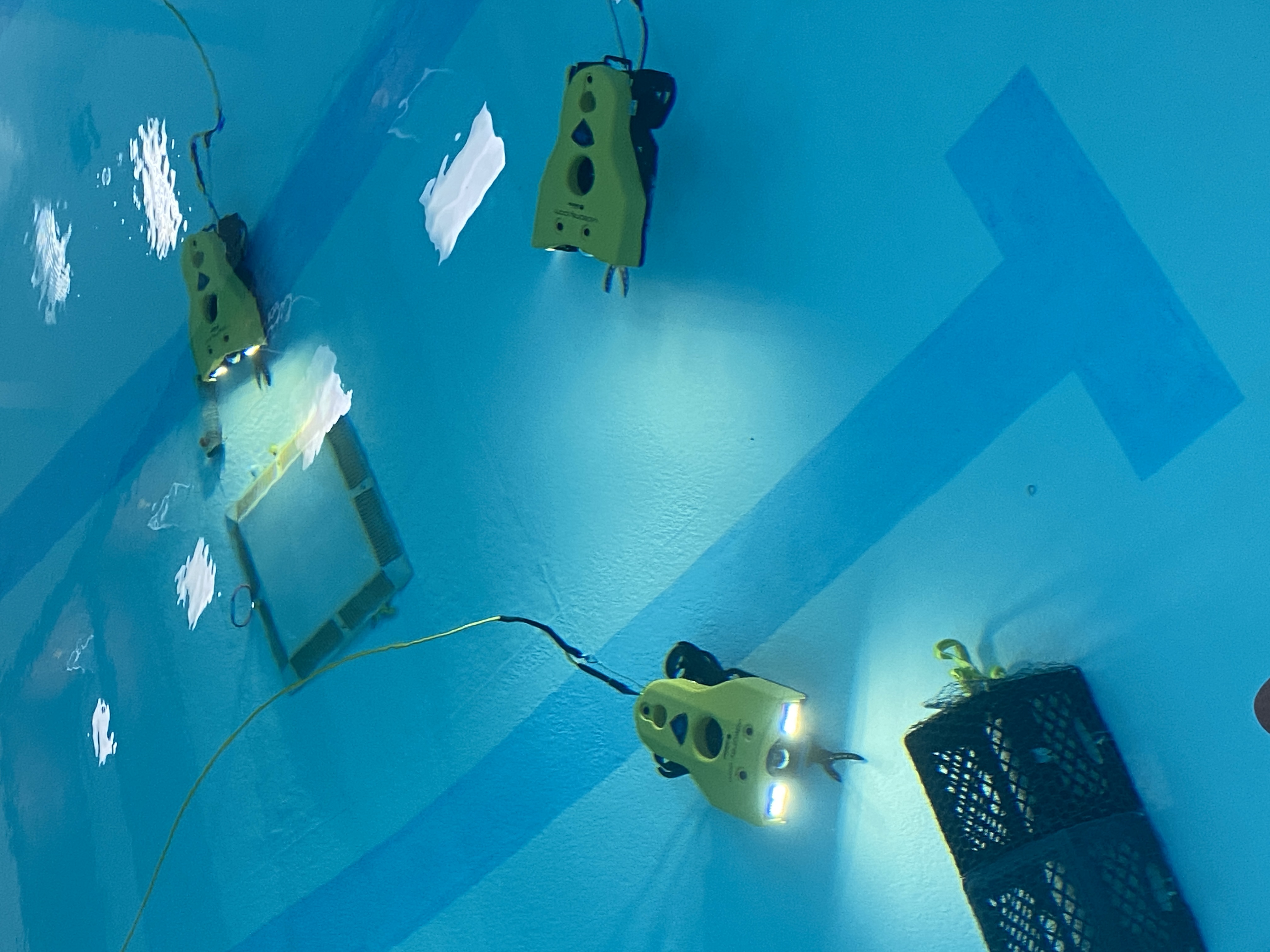 Image 4 of 11 in gallery section. Image title is Pro 5s in pool.