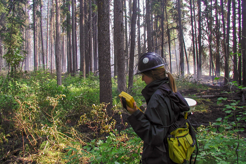 Image 10 of 14 in gallery section. Image title is GPSFire_edited.