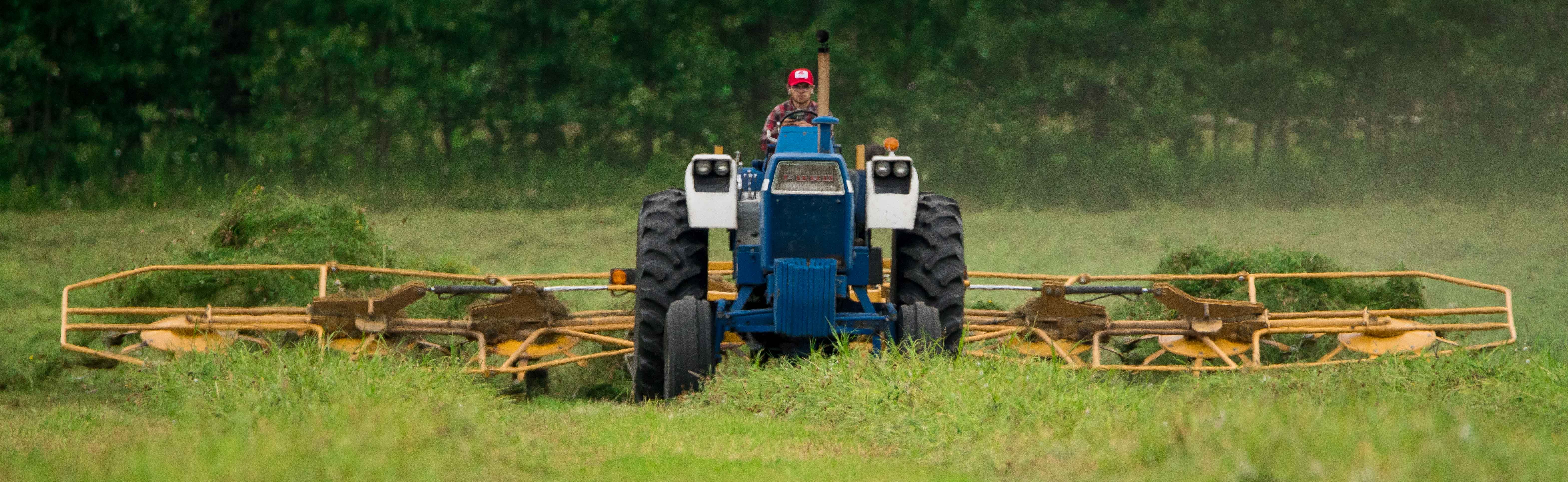 Image 1 of 1 in Text/Picture section