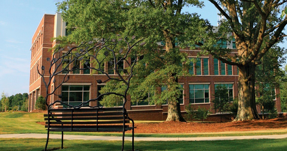 Town of Wake Forestbackground