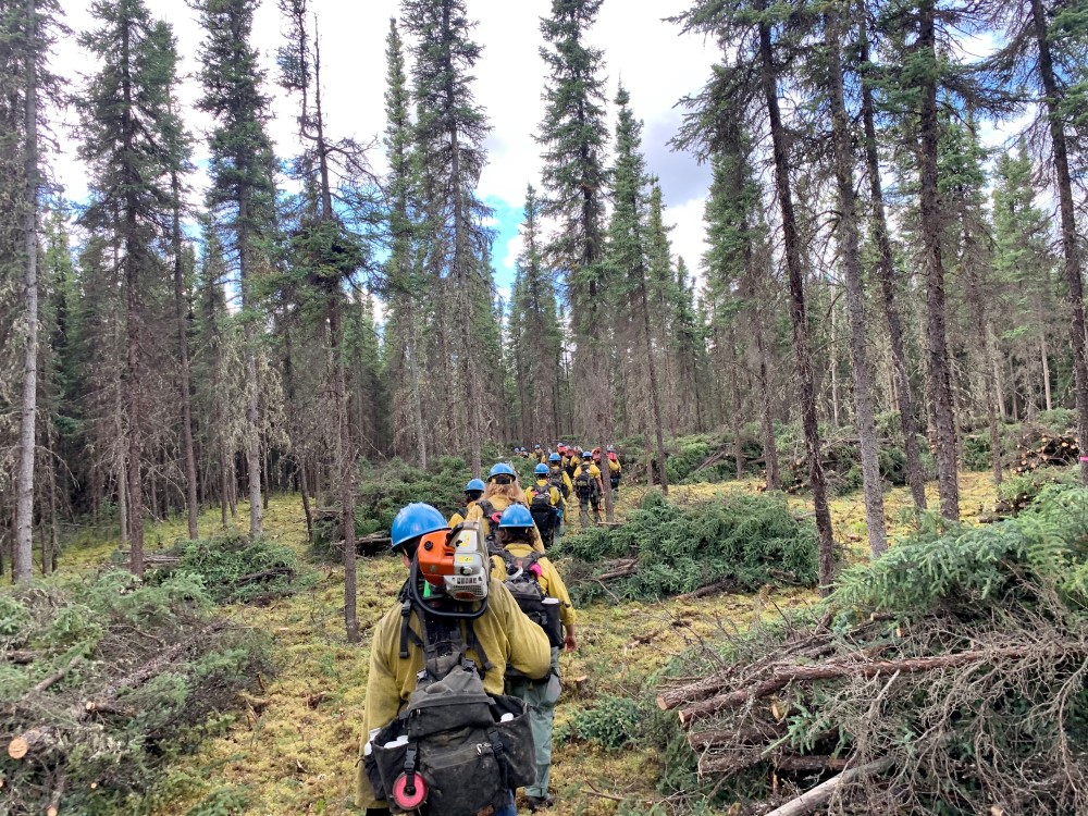 Image 6 of 14 in gallery section. Image title is hiking-resized.