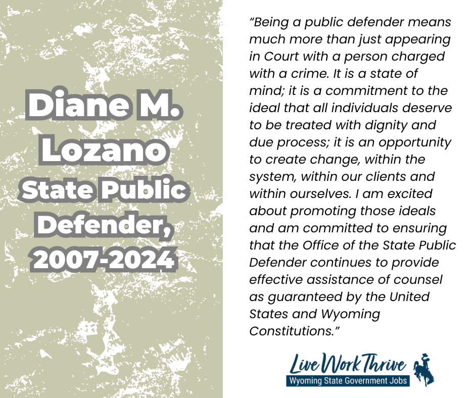 Image 1 of 3 in gallery section. Image title is Public Defender quotes.