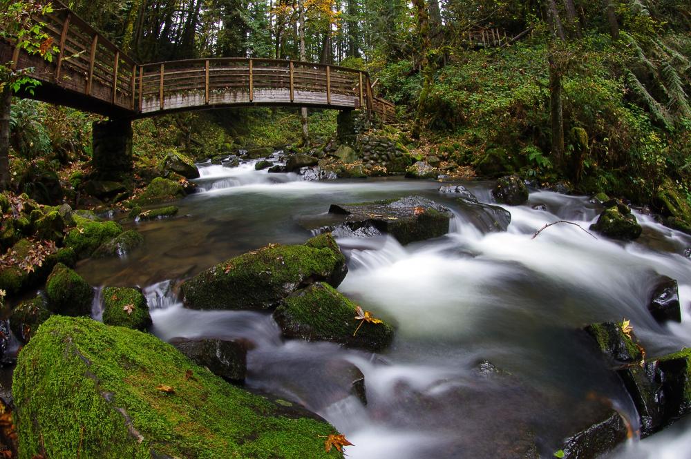 Linn County Department of Health Servicesbackground