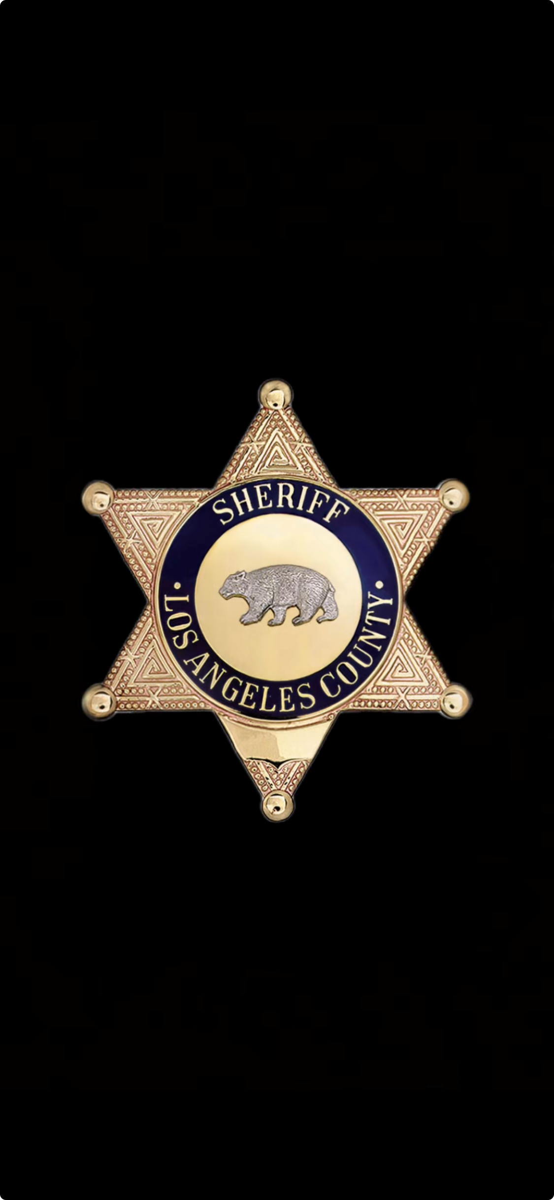 LASD SkillBridgebackground
