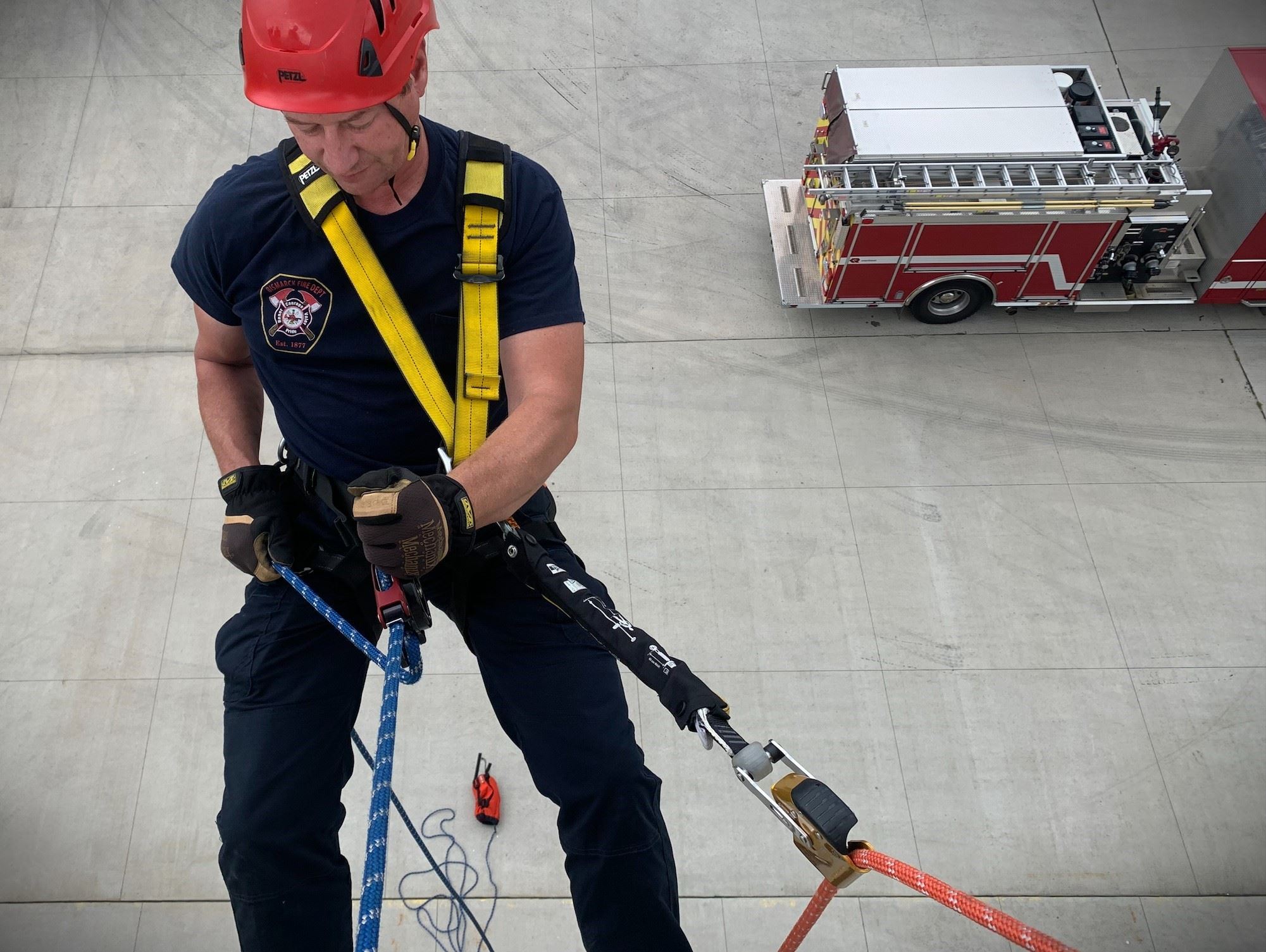 Image 2 of 5 in gallery section. Image title is Document (3).