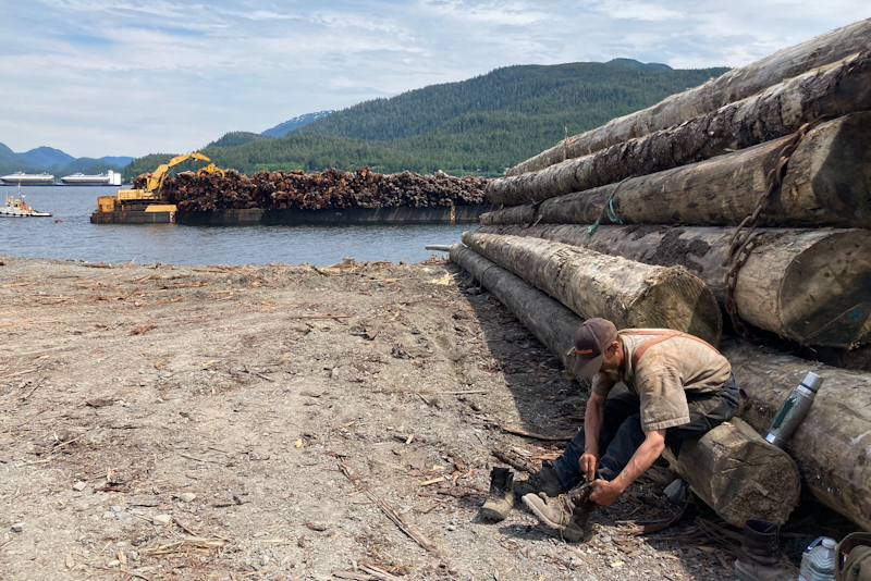 Image 1 of 1 in Text/Picture section