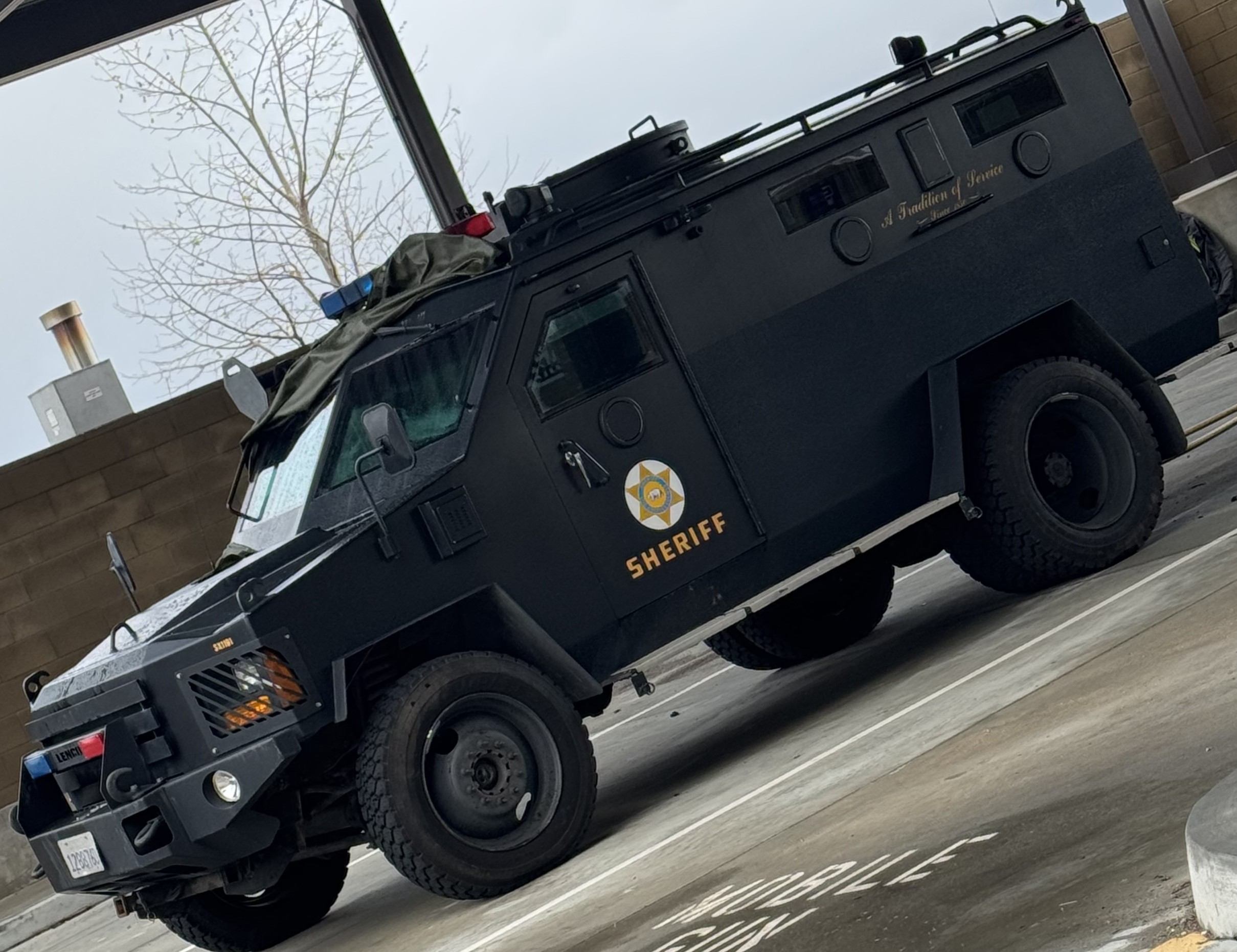 Image 4 of 4 in gallery section. Image title is Bearcat Pic Resize.