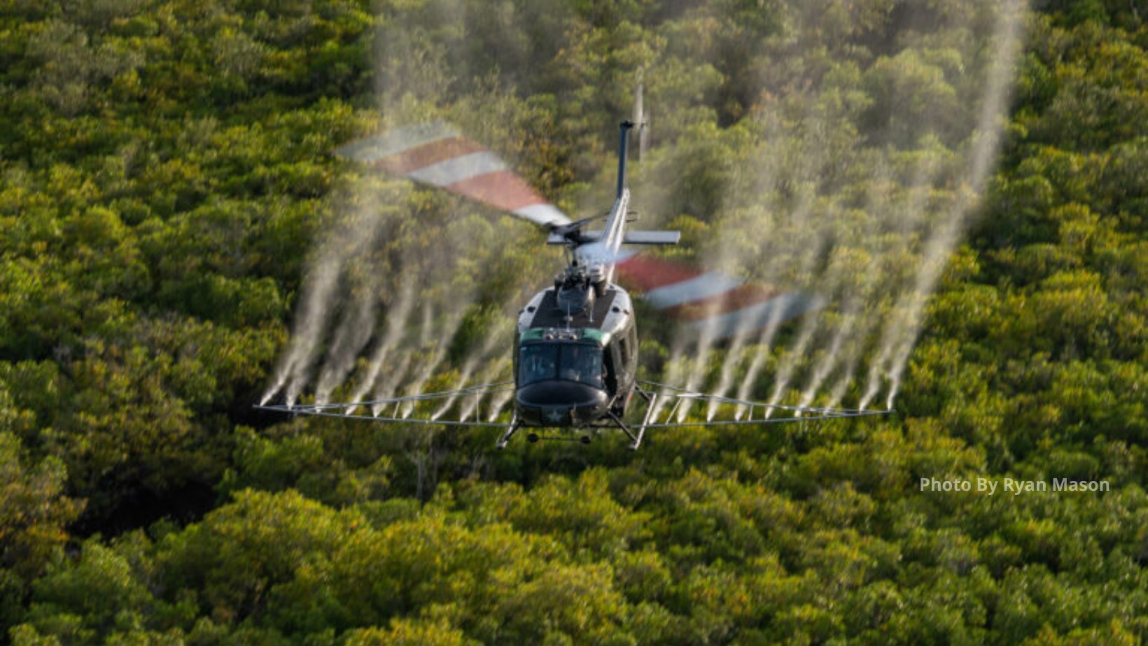Image 3 of 6 in gallery section. Image title is Mosquito Spraying.