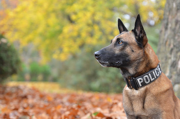 West Sacramento Police Departmentbackground