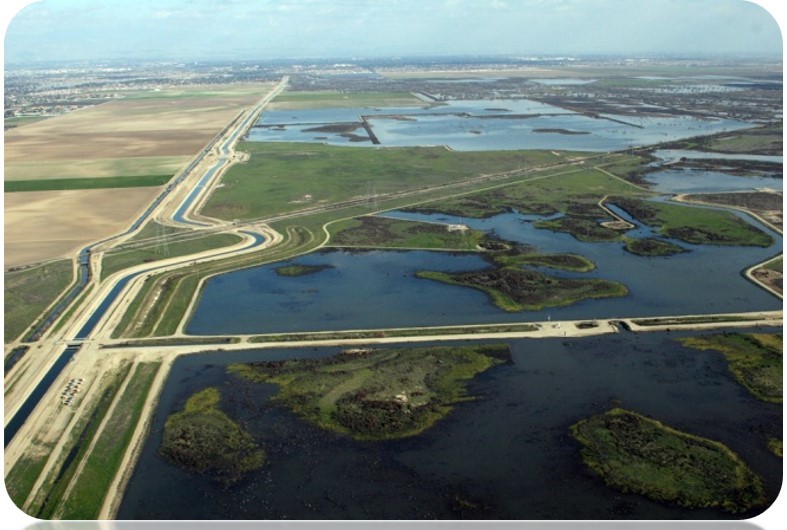 Image 1 of 1 in Text/Picture section