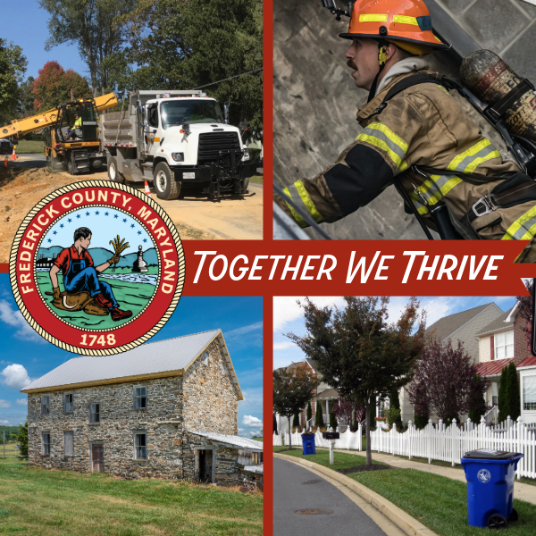 Image 1 of 1 in Text/Picture section