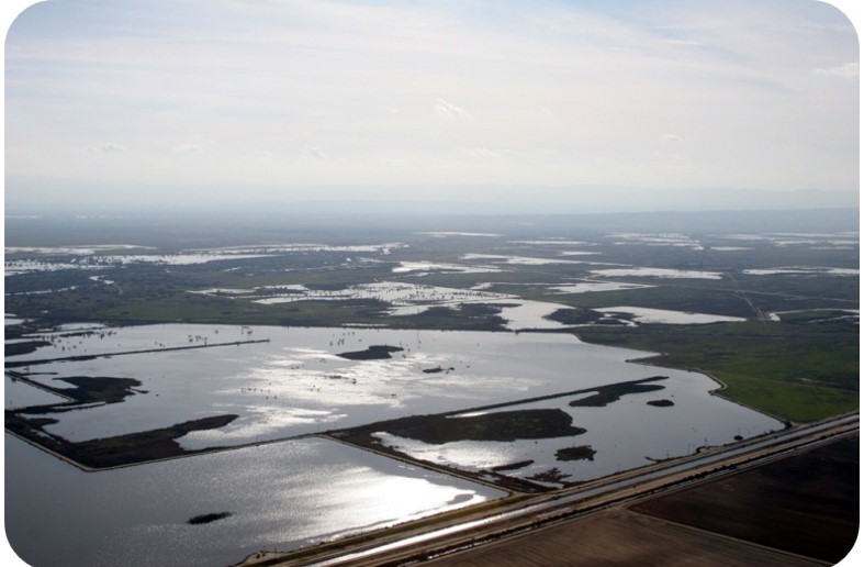 Image 1 of 1 in Text/Picture section