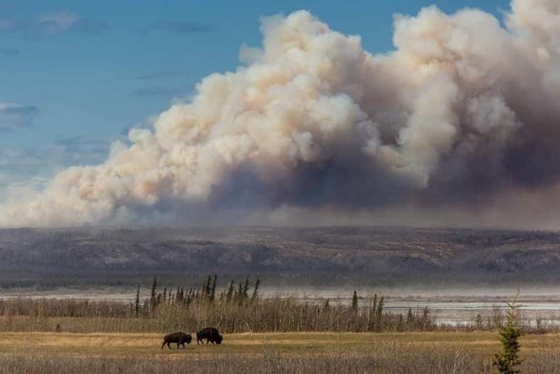 Image 7 of 14 in gallery section. Image title is delta.