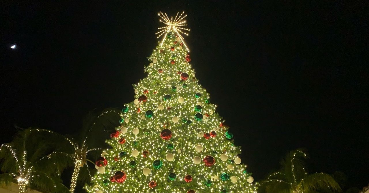 Beautiful Tree Lighting