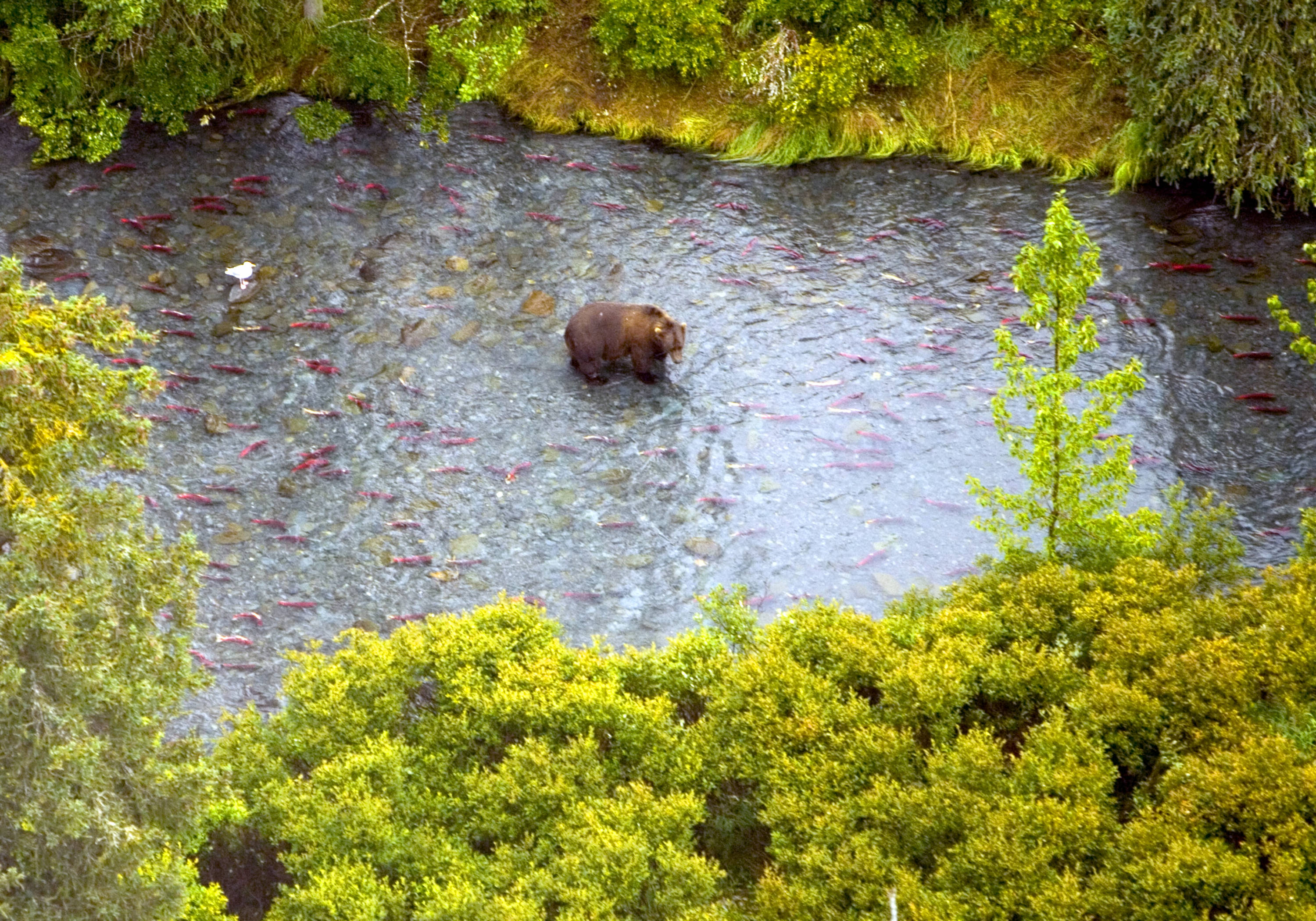 State of Alaska - Recruitment Homebackground