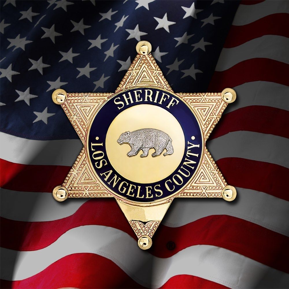 LASD SkillBridgebackground