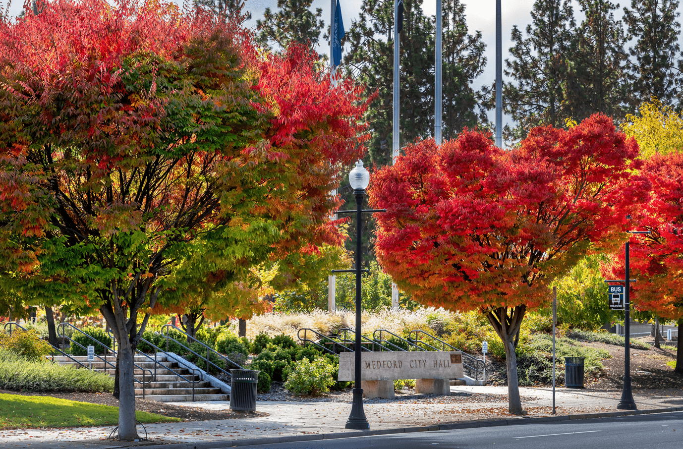 Recruitment Homebackground