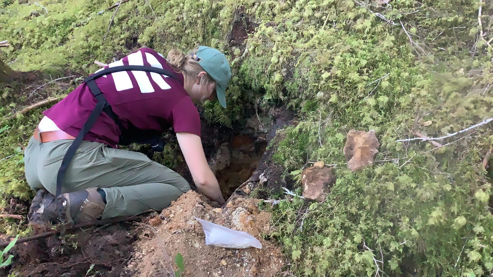 Image 6 of 28 in gallery section. Image title is img_0010_38.