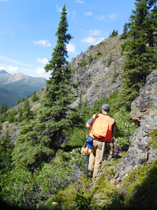 Image 4 of 14 in gallery section. Image title is 2018onplot.Breitenbach_edited.