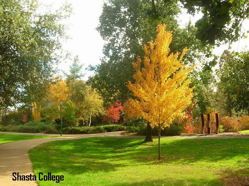 Image 11 of 22 in gallery section. Image title is Campus.