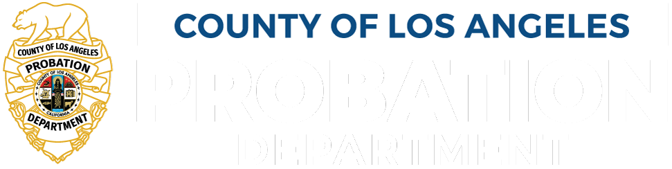 Deputy Probation Officer Ilogo