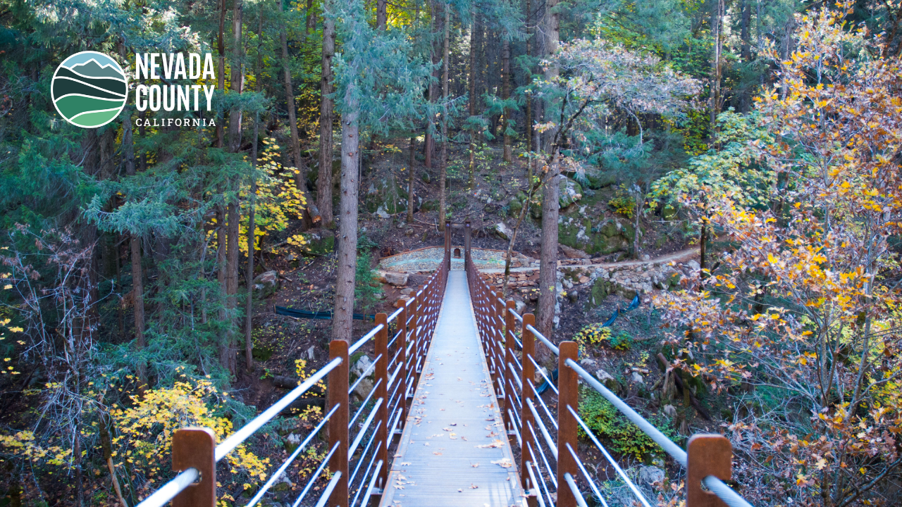 Image 6 of 10 in gallery section. Image title is Zoom Background- Tribute Trail 2.