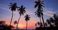 Live and Work in Paradise!