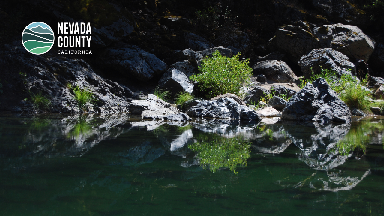 Image 7 of 10 in gallery section. Image title is Zoom Background- Yuba 2.