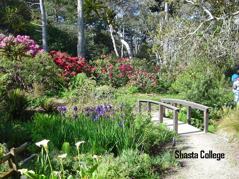 Image 8 of 22 in gallery section. Image title is Campus.