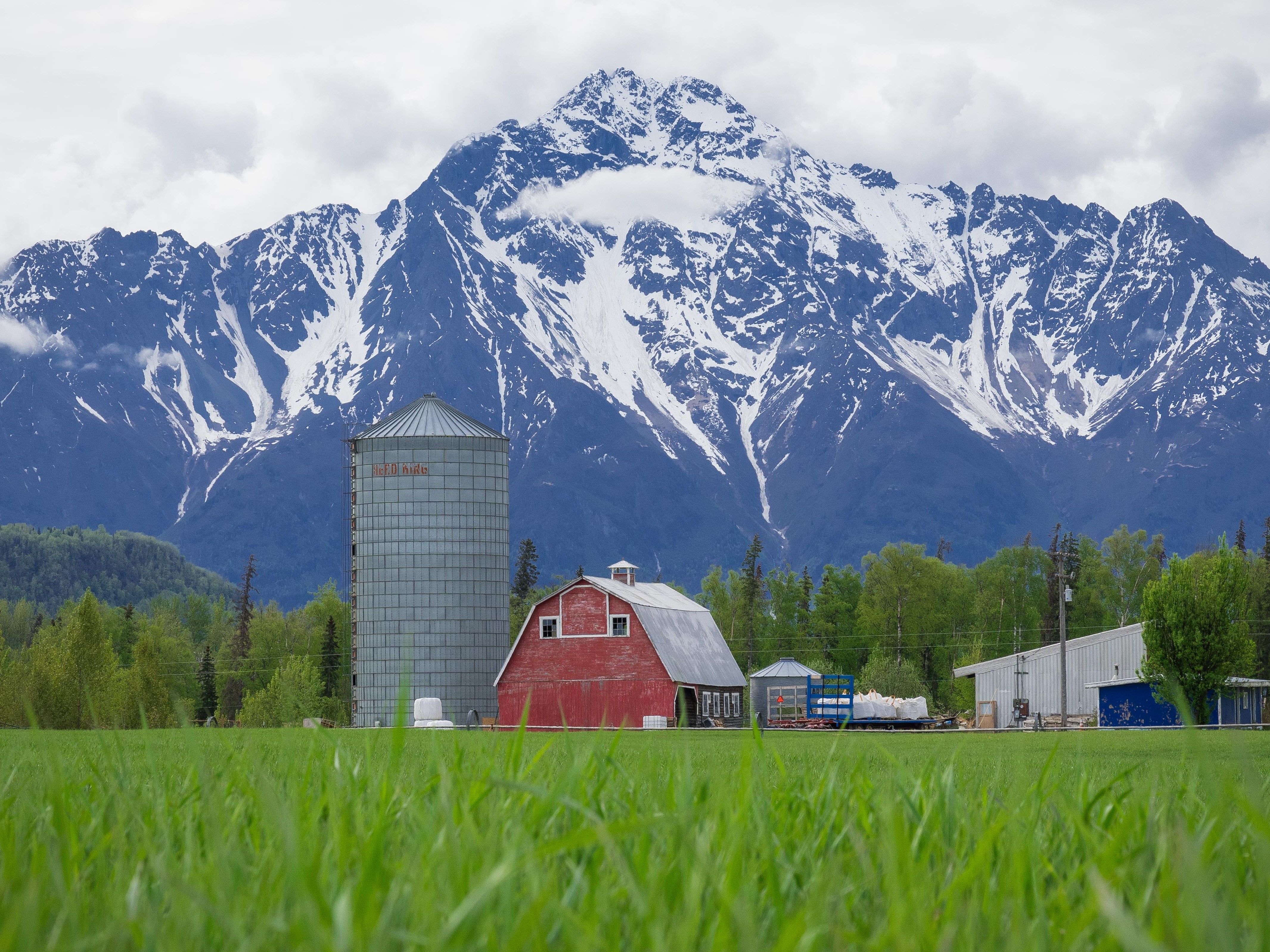 Agriculture