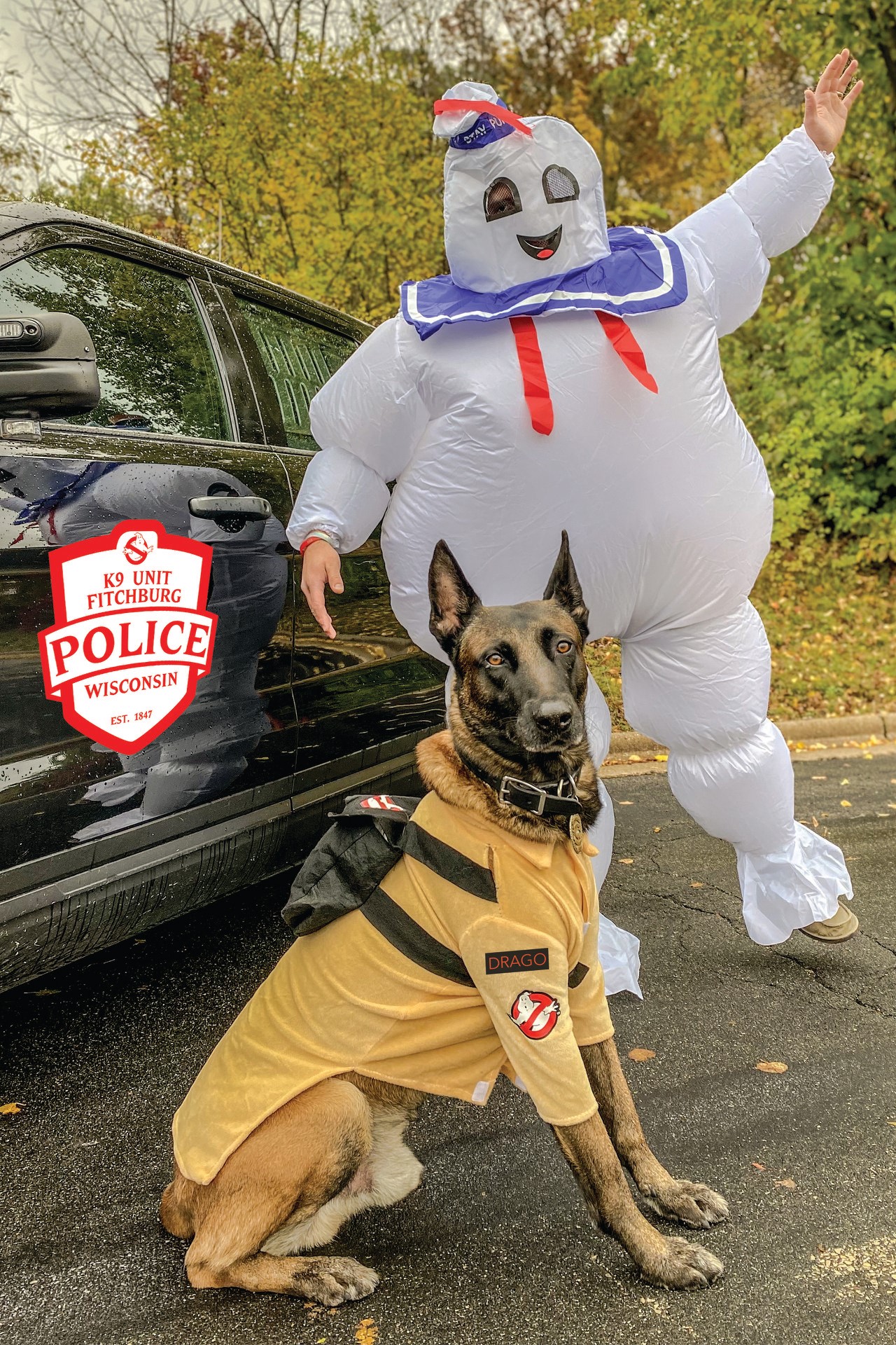 Image 9 of 16 in gallery section. Image title is Drago.