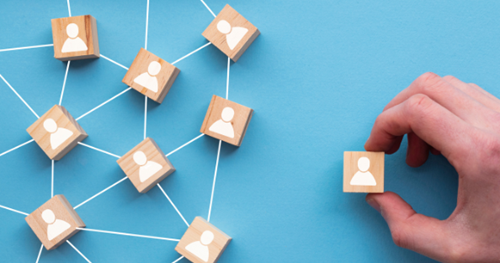 Application & Selection Procedures