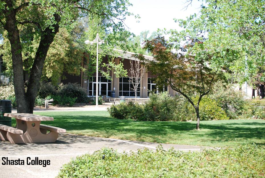 Image 6 of 22 in gallery section. Image title is Campus.