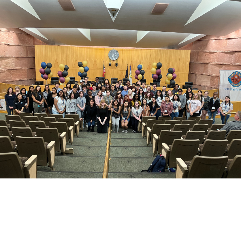 Summer Business Institutebackground