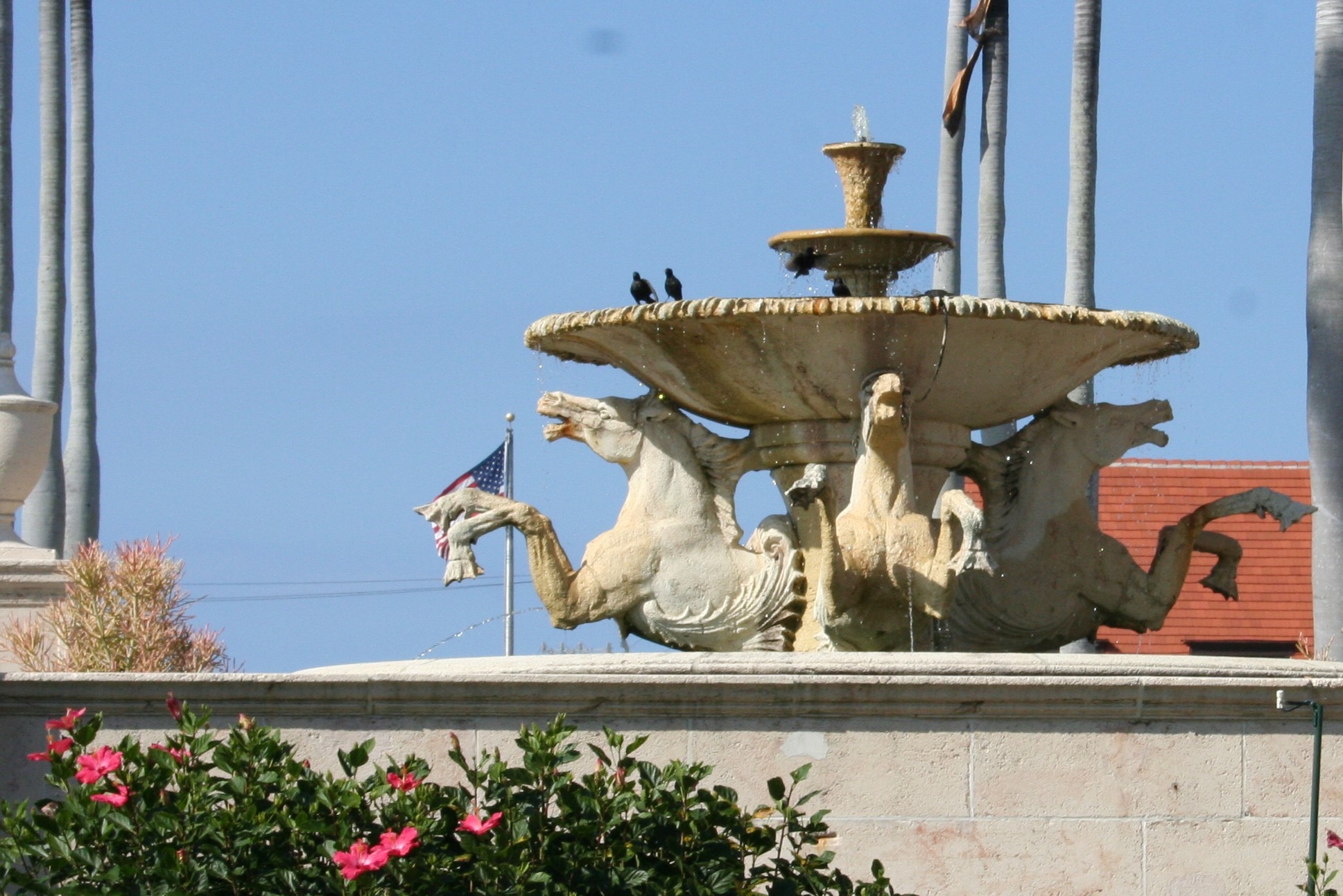 Town of Palm Beachbackground