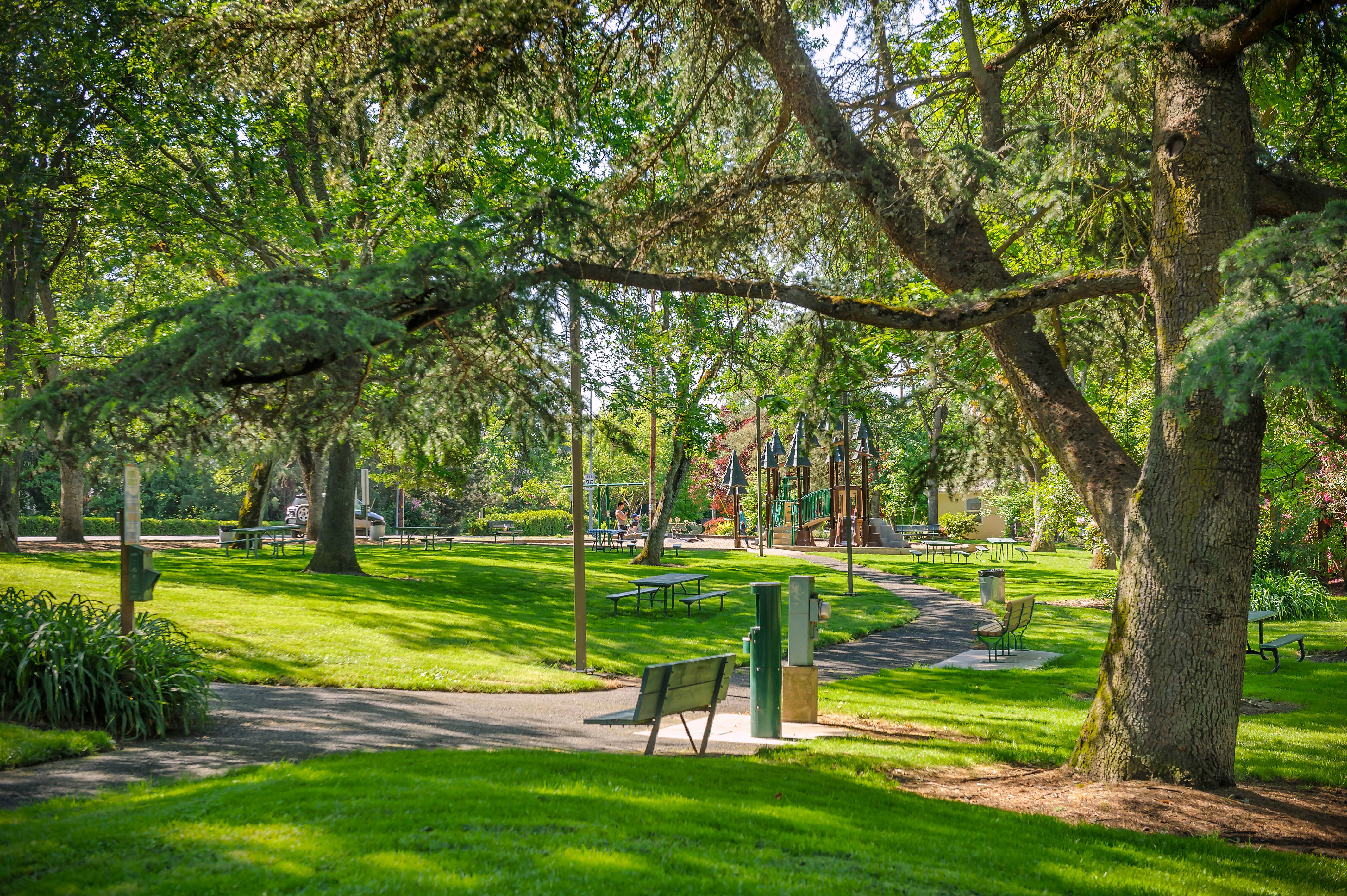 Image 11 of 19 in gallery section. Image title is 2018-Ruhl-2 (2).