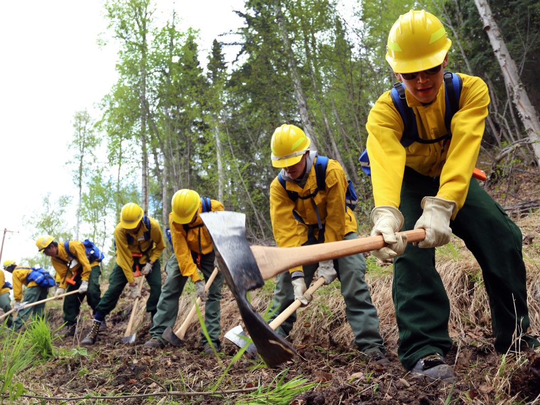 Forestry & Fire Protection