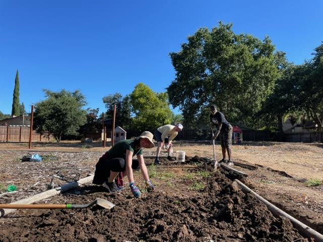 Image 5 of 5 in gallery section. Image title is 2019 Community Service Project.