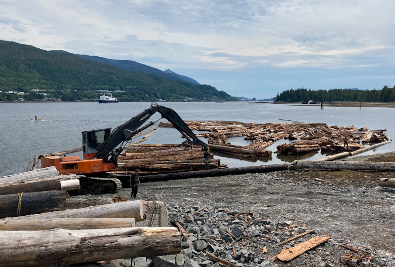 Image 5 of 14 in gallery section. Image title is Bundles in water_edited.