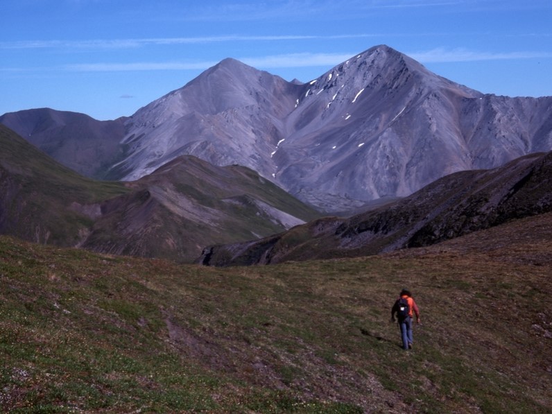 Image 1 of 1 in Text/Picture section