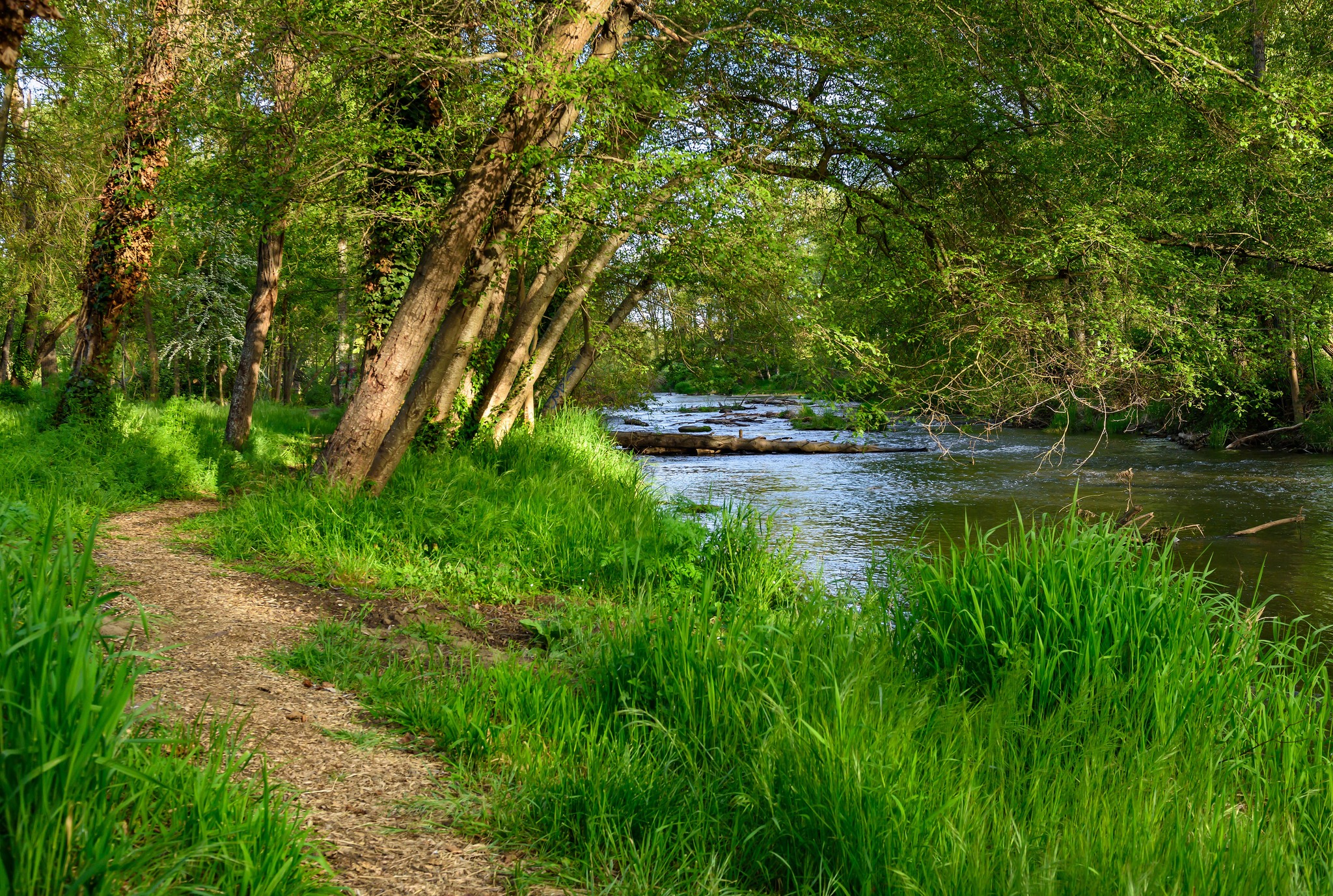 Image 8 of 19 in gallery section. Image title is 440815626_841078064726478_3016251123219167752_n.