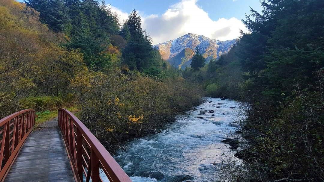 Image 1 of 1 in Text/Picture section